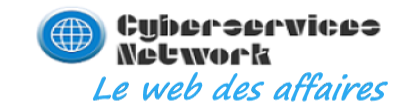 Cyberservices Network le Web des Affaires